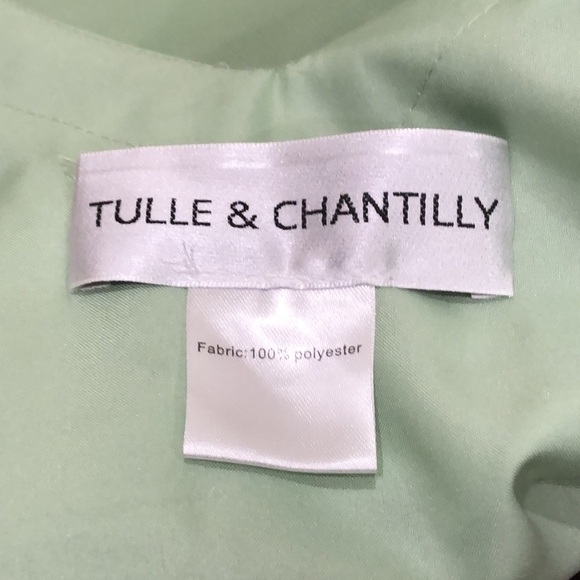 Tulle & Chantilly Wrap Maxi Dress Size 6 Pastel Mint Green Ruffle Gown - Picture 7 of 9